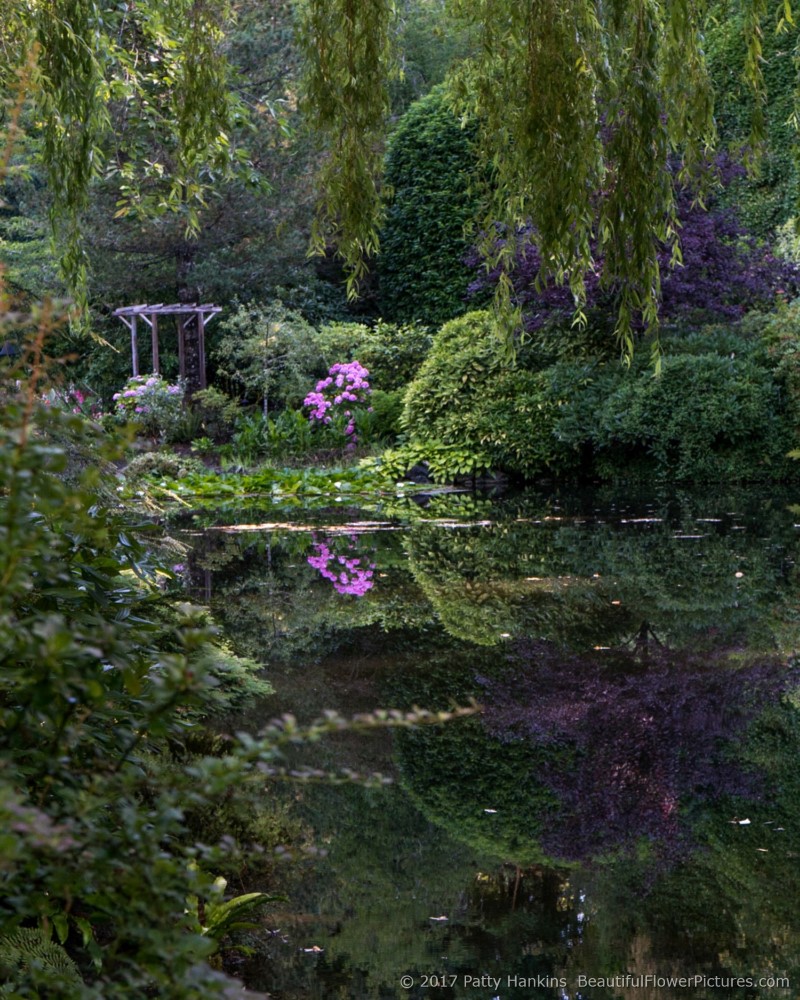 Pond at Butchart Gardens, Victoria, British Columbia © 2017 Patty Hankins