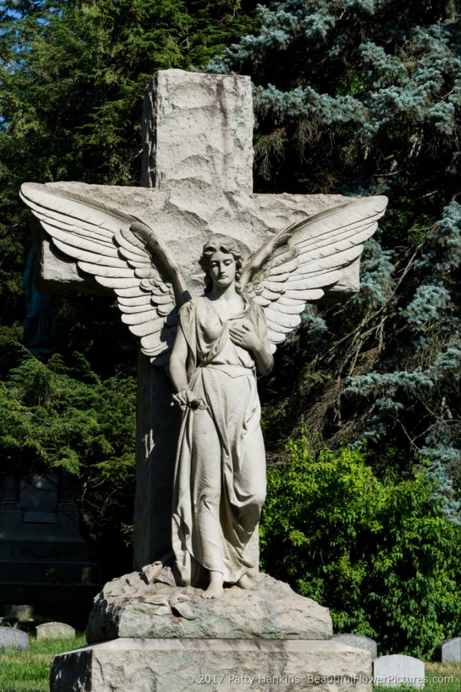 Angel at Cedar Hill Cemetery, Hartford, CT © 2017 Patty Hankins