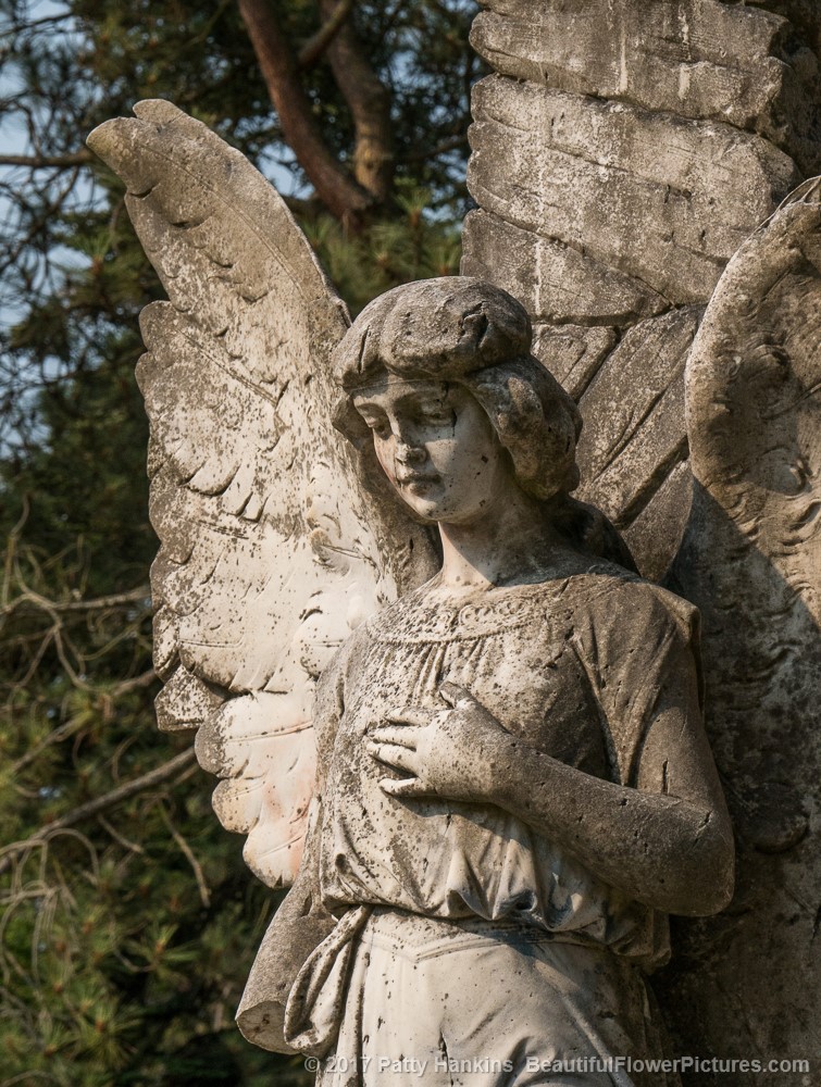 Angel at Ross Bay Cemetery, Victoria, British Columbia © 2017 Patty Hankins
