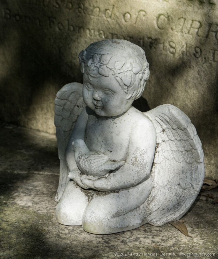 Left at a Grave in Lafayette Cemetery, New Orleans © 2017 Patty Hankins