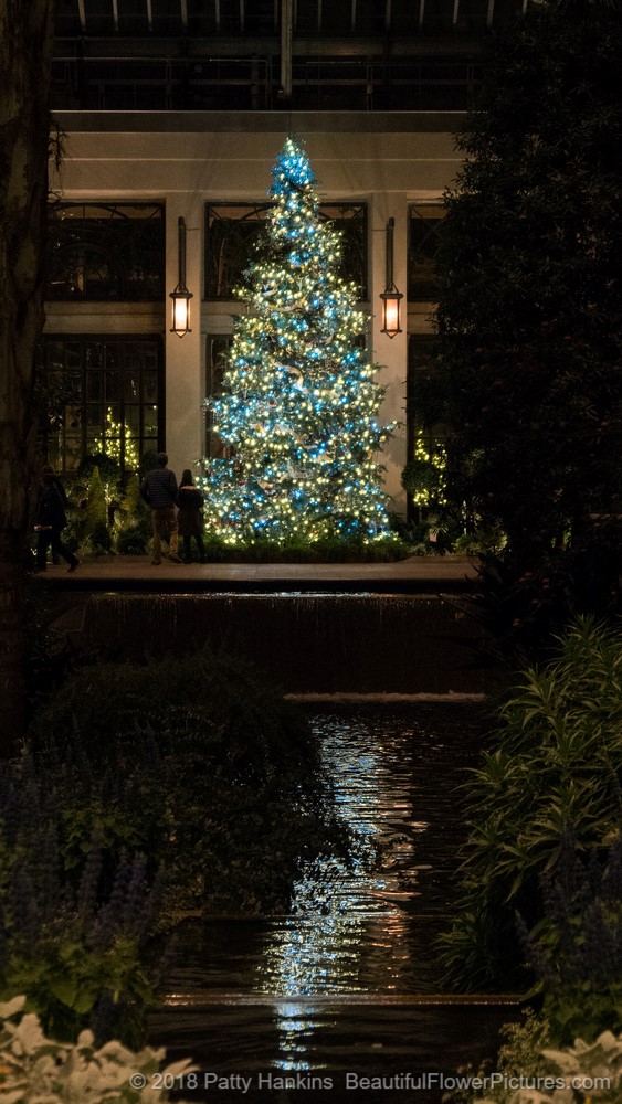 Christmas in the Conservatory, Longwood Gardens (c) 2018 Patty Hankins
