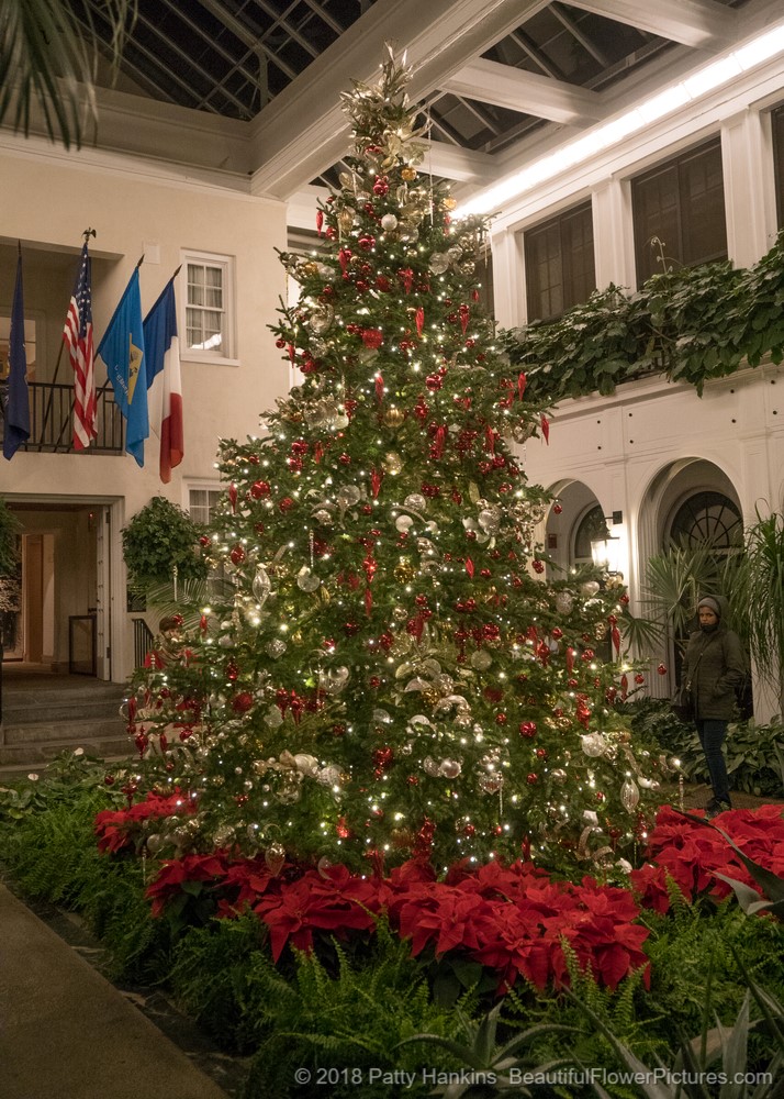 Christmas at the DuPont House, Longwood Gardens (c) 2018 Patty Hankins