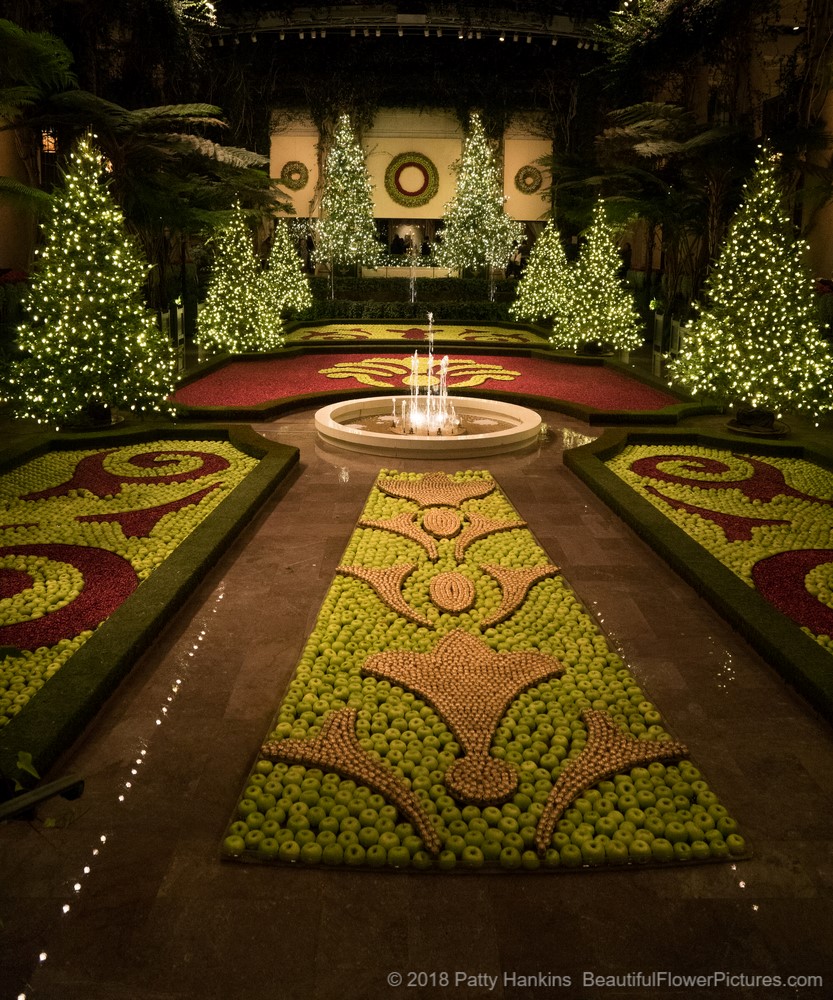 Christmas in the Exhibition Hall, Longwood Gardens (c) 2018 Patty Hankins