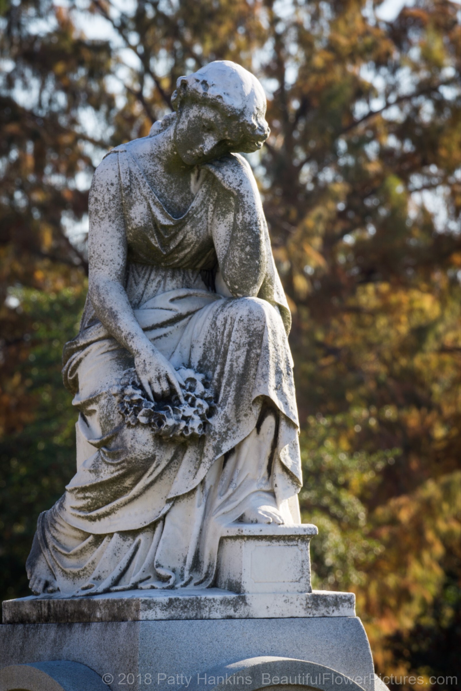 Grave in Rock Creek Cemetery, Washington DC © 2018 Patty Hankins