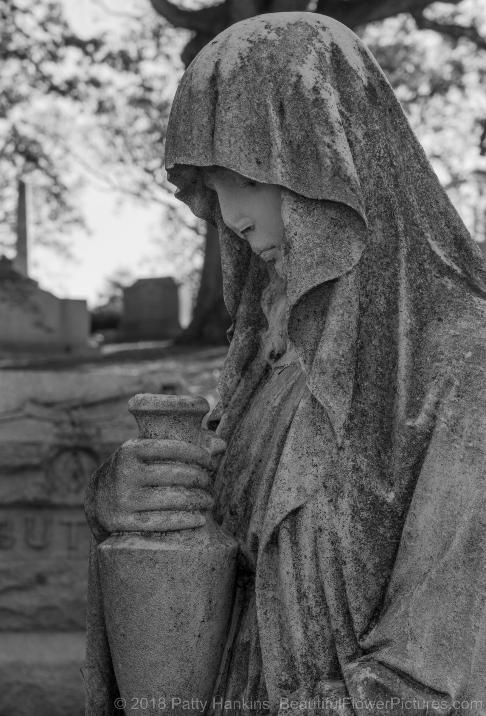 Grave in Rock Creek Cemetery, Washington DC © 2018 Patty Hankins