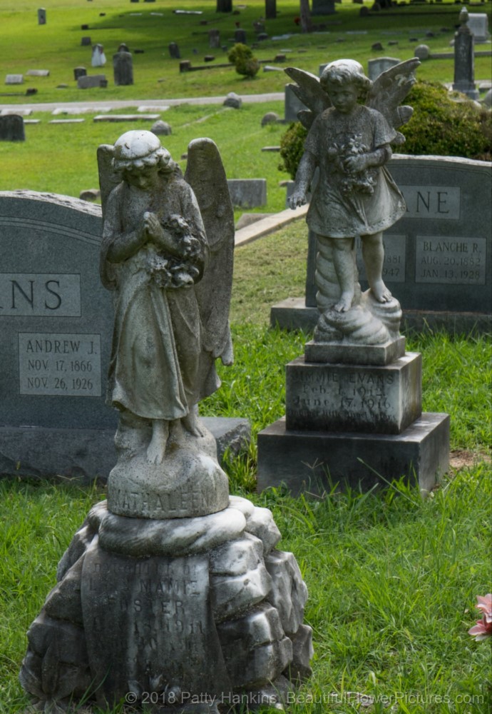 Graves at Blandford Cemetery in Petersburg, Virginia © 2018 Patty Hankins