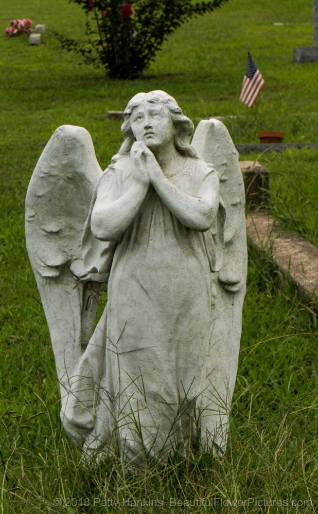 Angel at Blandford Cemetery in Petersburg, Virginia © 2018 Patty Hankins