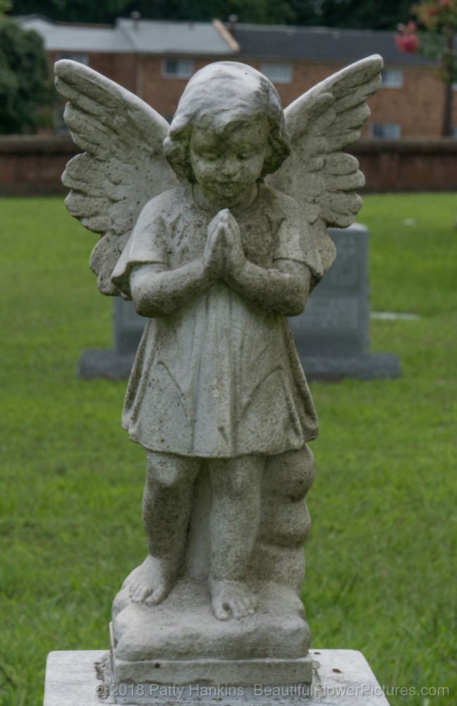 Cherub at Blandford Cemetery in Petersburg, Virginia © 2018 Patty Hankins