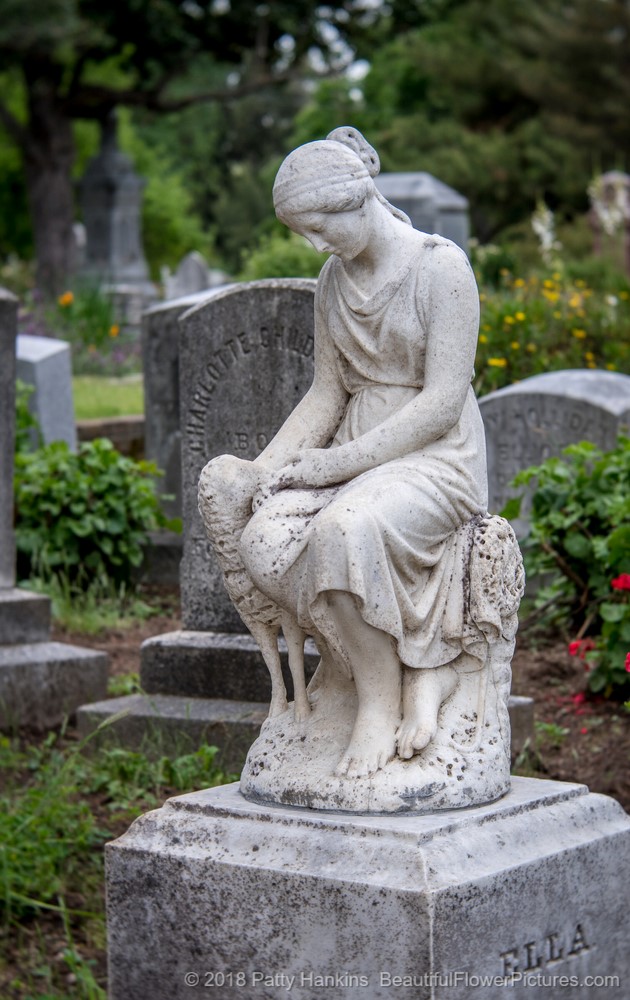 Grave at the Historic Old City Cemetery, Sacramento, California (c) 2018 Patty Hankins