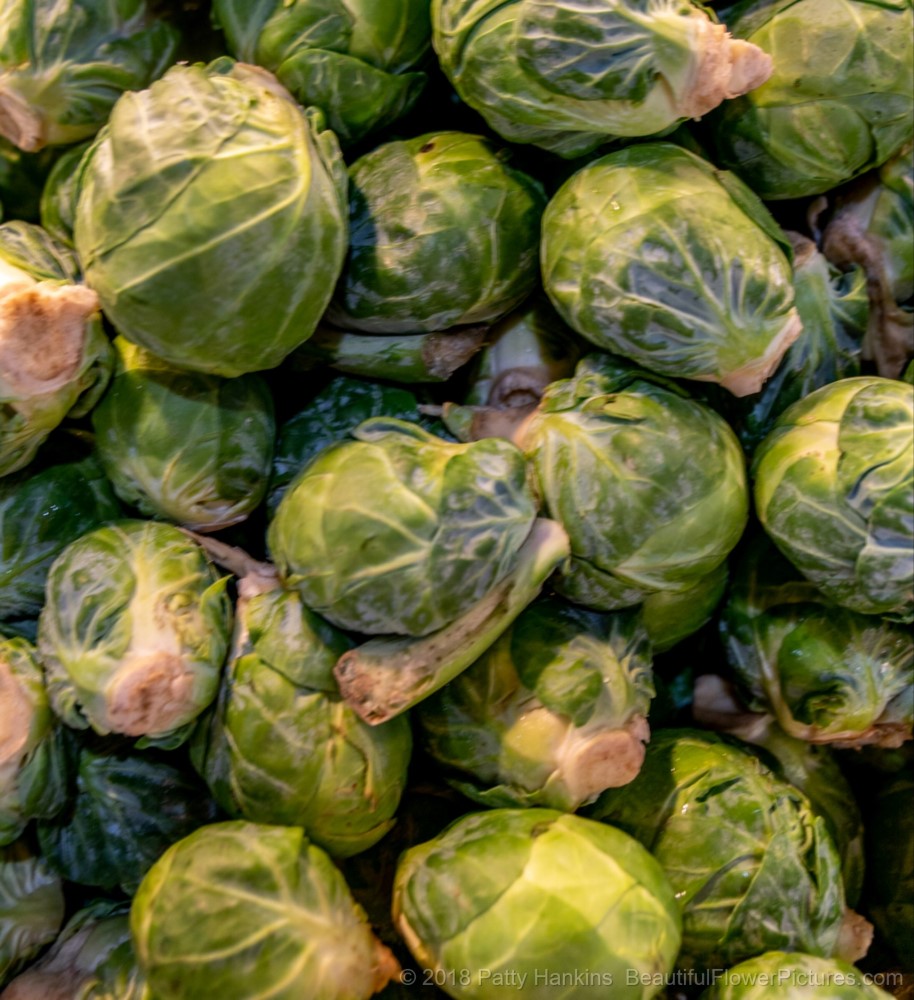Brussel Sprouts, Meck's Produce, Central Market, Lancaster, PA © 2018 Patty Hankins