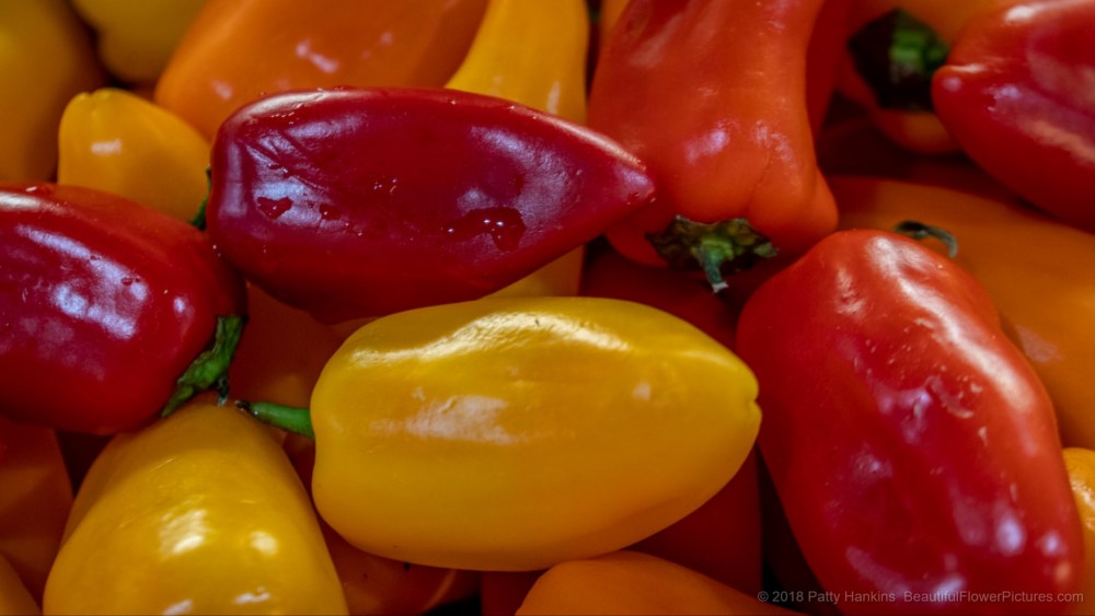 Red & Yellow Peppers, Central Market, Lancaster, PA © 2018 Patty Hankins