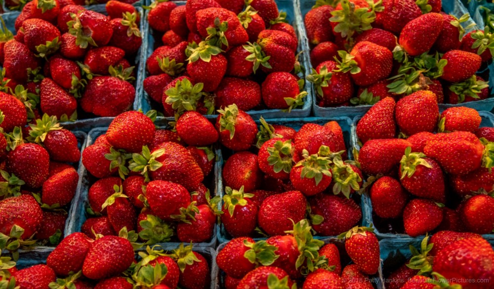 Strawberries, Central Market, Lancaster, PA © 2018 Patty Hankins