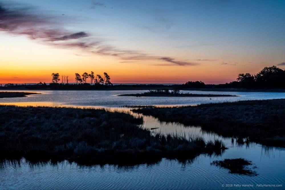 Sunrise over the Marsh, Chincoteague NWR © 2018 Patty Hankins