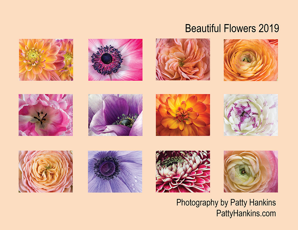 2019 Beautiful Flowers Calendar Back Cover