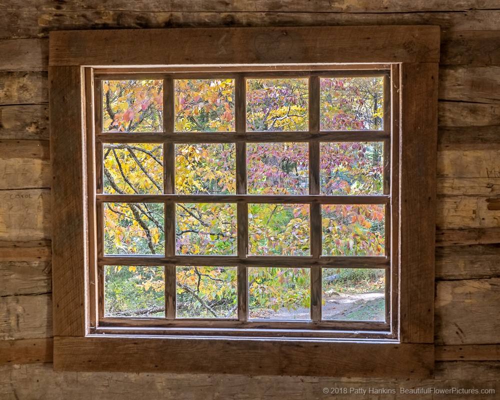 Through the Window at the Ogle Cabin ©2018 Patty Hankins