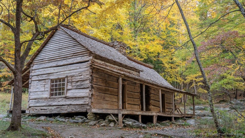 Ogle Cabin, Great Smoky Mountains National Park © 2018 Patty Hankins