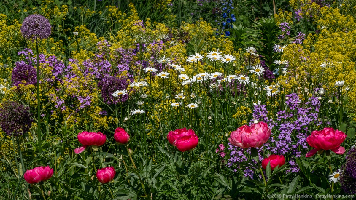 In the Cutting Garden, Chanticleer Gardens © 2019 Patty Hankins