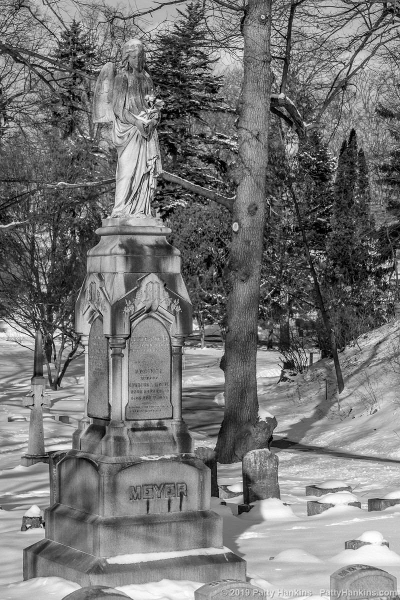 Graveyard Angel, Mount Hope Cemetery, Rochester, NY © 2019 Patty Hankins
