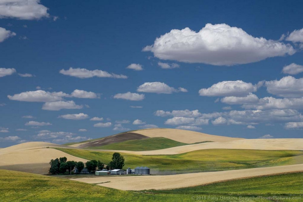 Photos from the Road: The Palouse