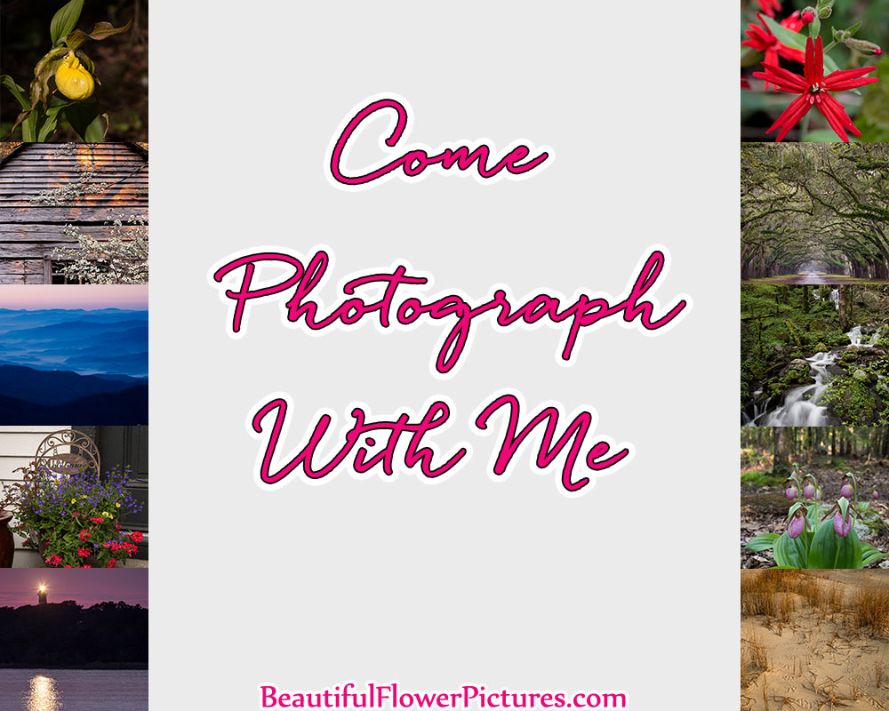 Come Photograph with Me!