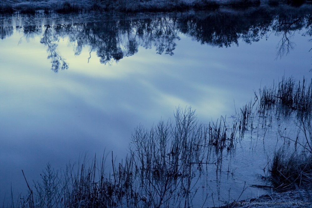 New Photo: Chincoteague Sunrise Reflections