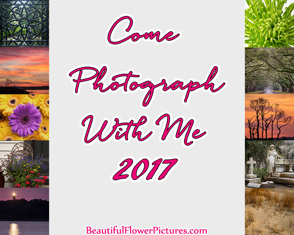 Come Photograph with Me in 2017 – Registration is Open for All Workshops