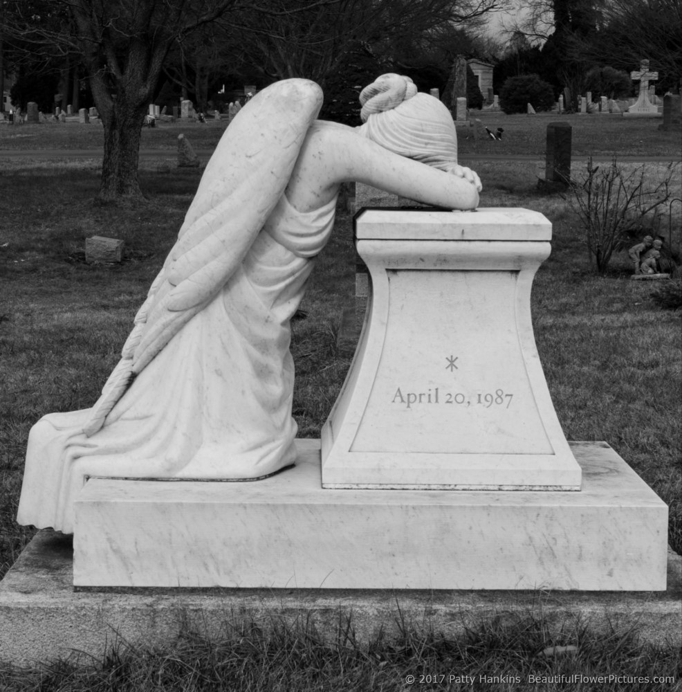 Cemetery Angel, Longwood Cemetery, Kennett Square, PA © 2017 Patty Hankins