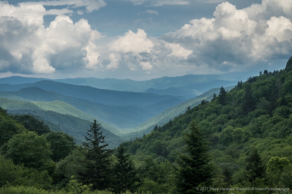 Photos From the Road: Mountains of Tennessee and North Carolina