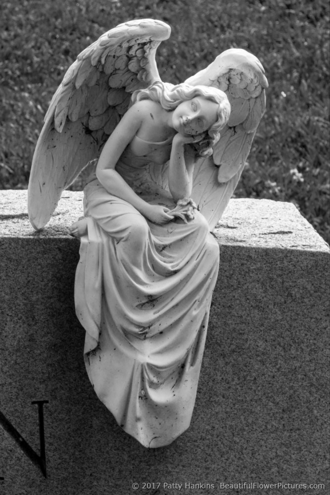 Angel, Hollywood Cemetery, Richmond, Virginia © 2017 Patty Hankins