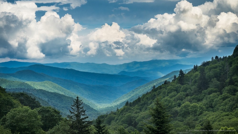 New Found Gap, Great Smoky Mountains National Park – New Photo