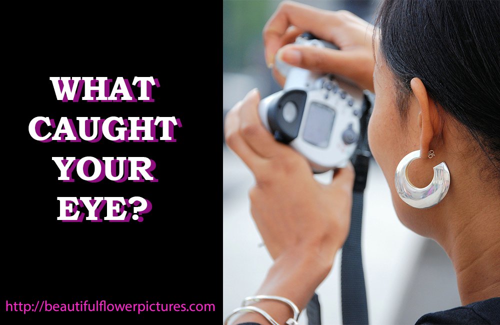 What Caught Your Eye?