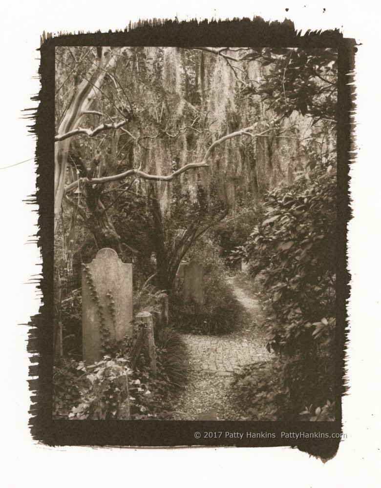 Grave-Lined Path, Unitarian Cemetery, Charleston, South Carolina Kallitype Available on my Website