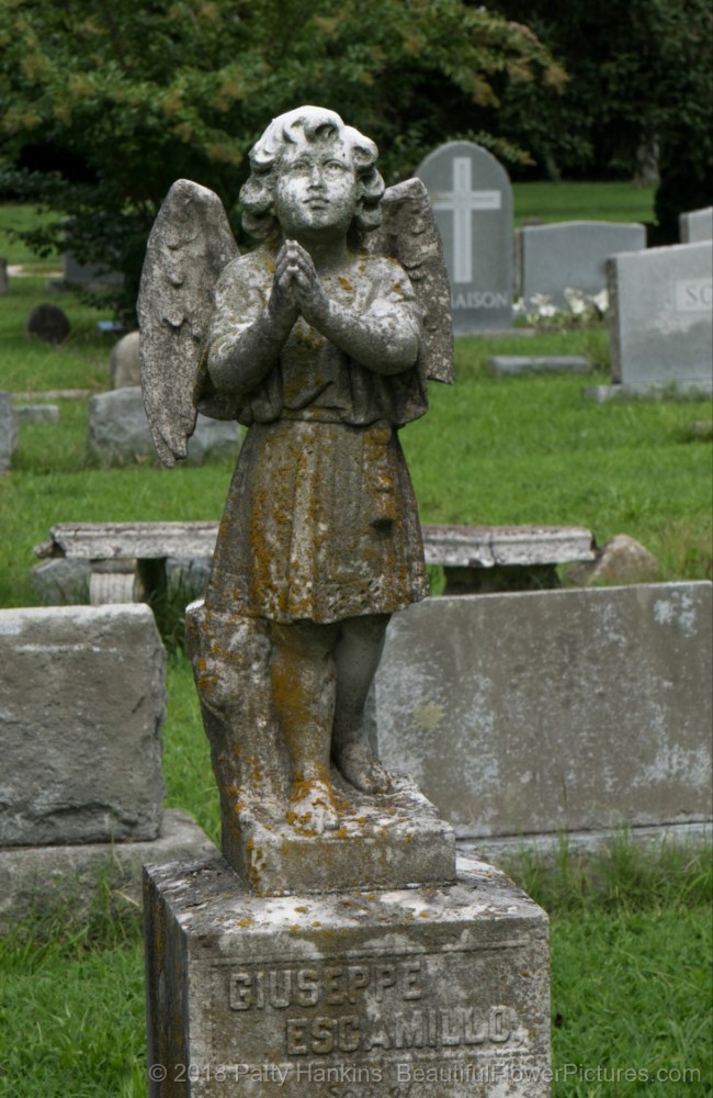 A Visit to Blandford Cemetery in Petersburg, Virginia