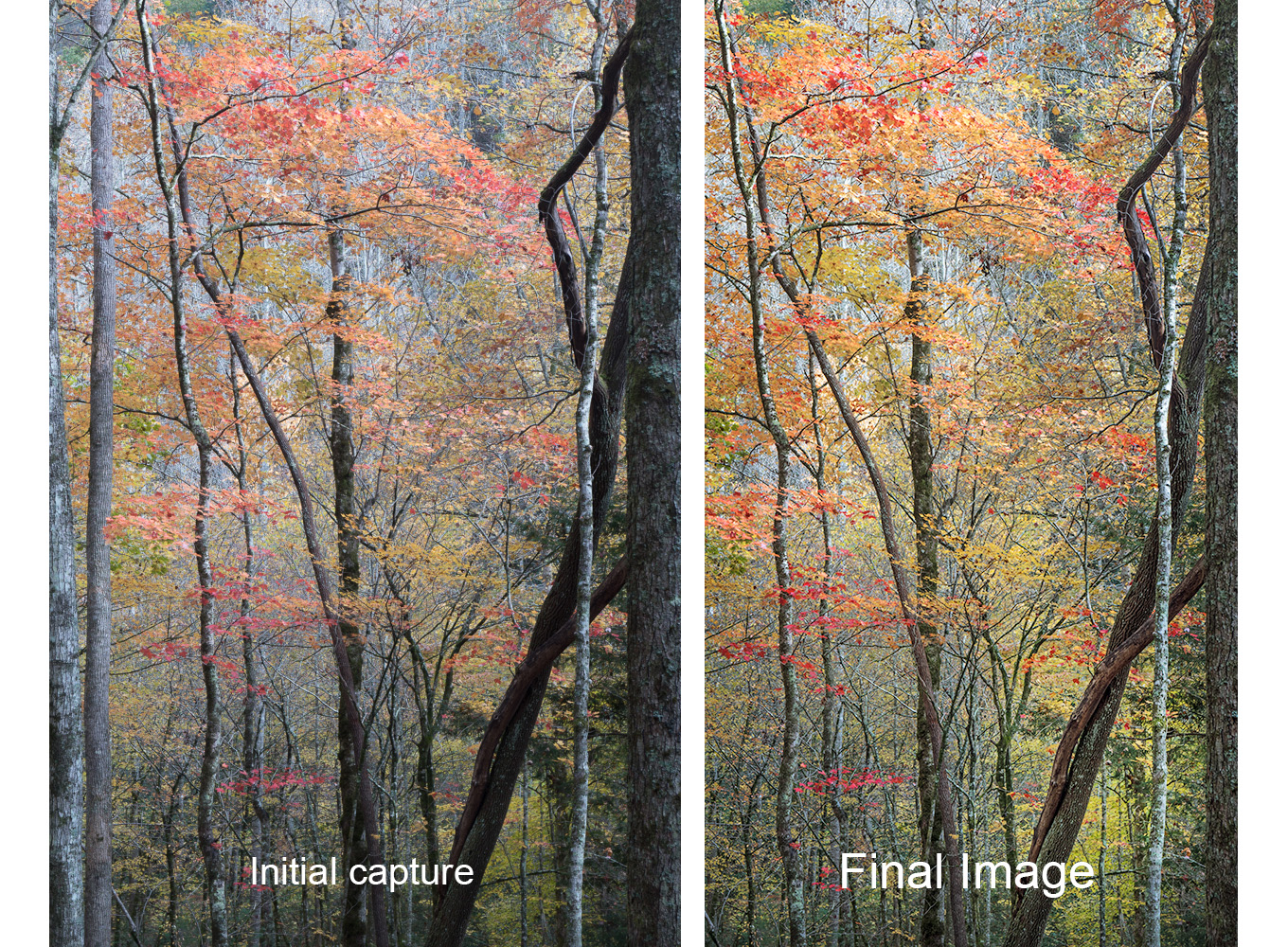 Editing a Fall Color Photo from Start to Finish