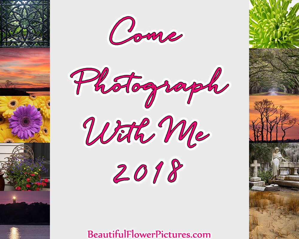 Come Photograph With Me!
