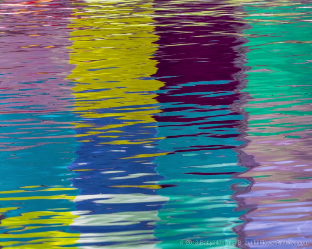 Color Reflections © 2018 Patty Hankins