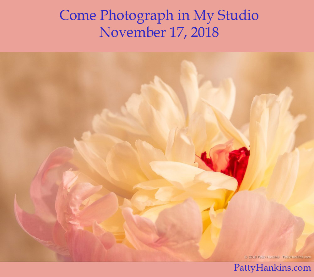 Come Spend an Afternoon Photographing In My Studio With Me