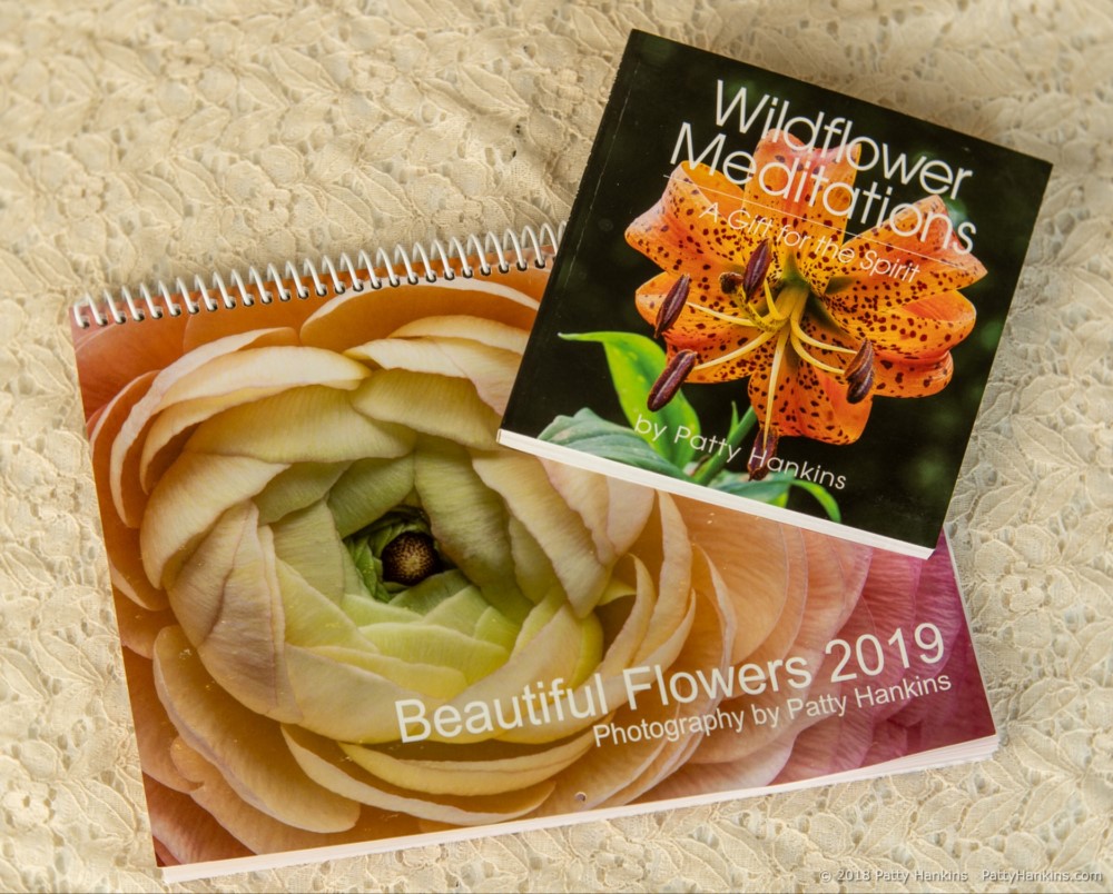 October Special – 2019 Calendar and Wildflower Meditations
