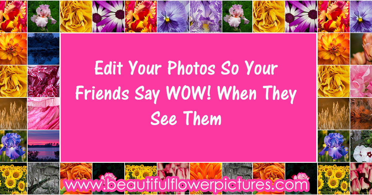 Edit Your Photos So Your Friends Say “WOW” When They See Them