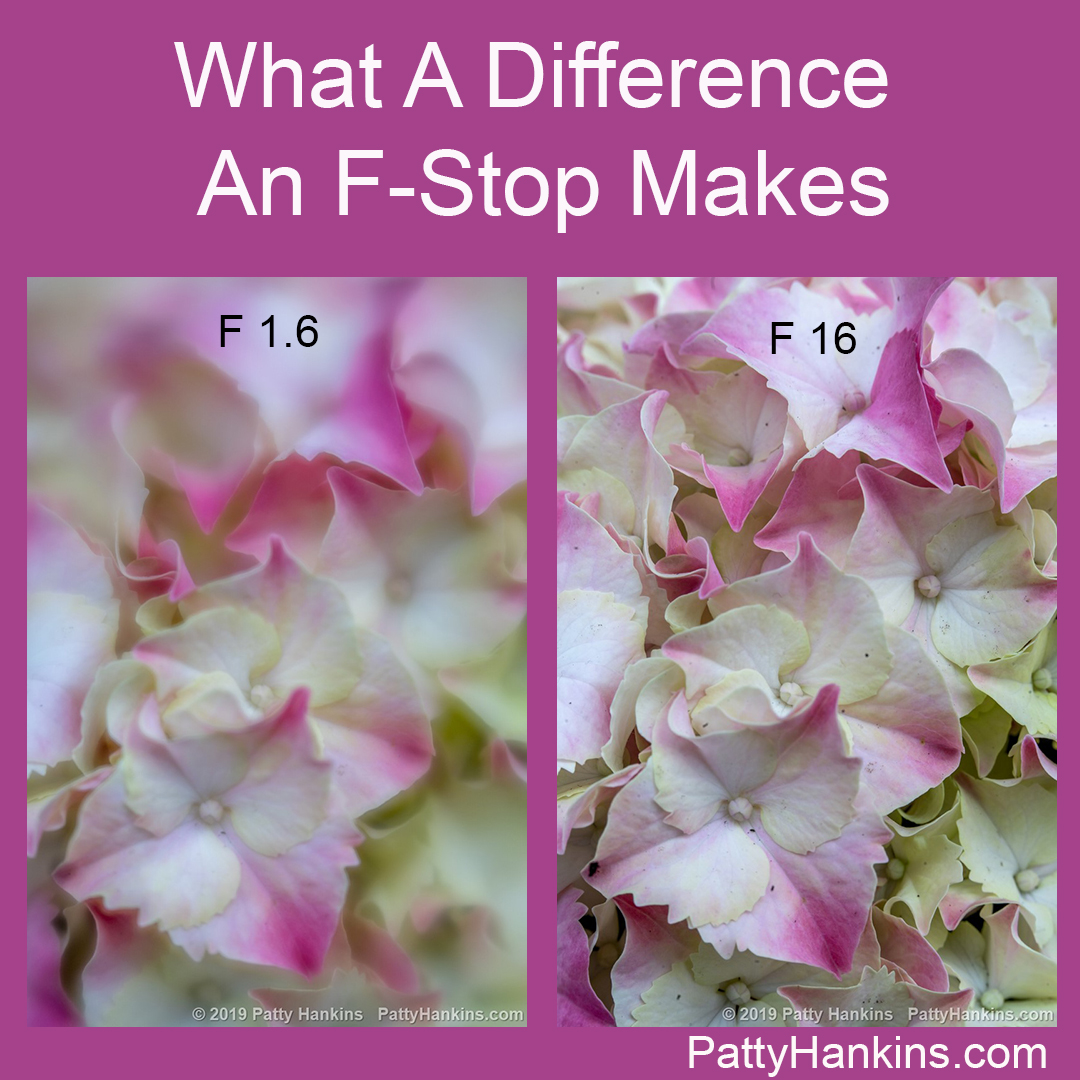 What A Difference An F-Stop Makes (updated in 2019)