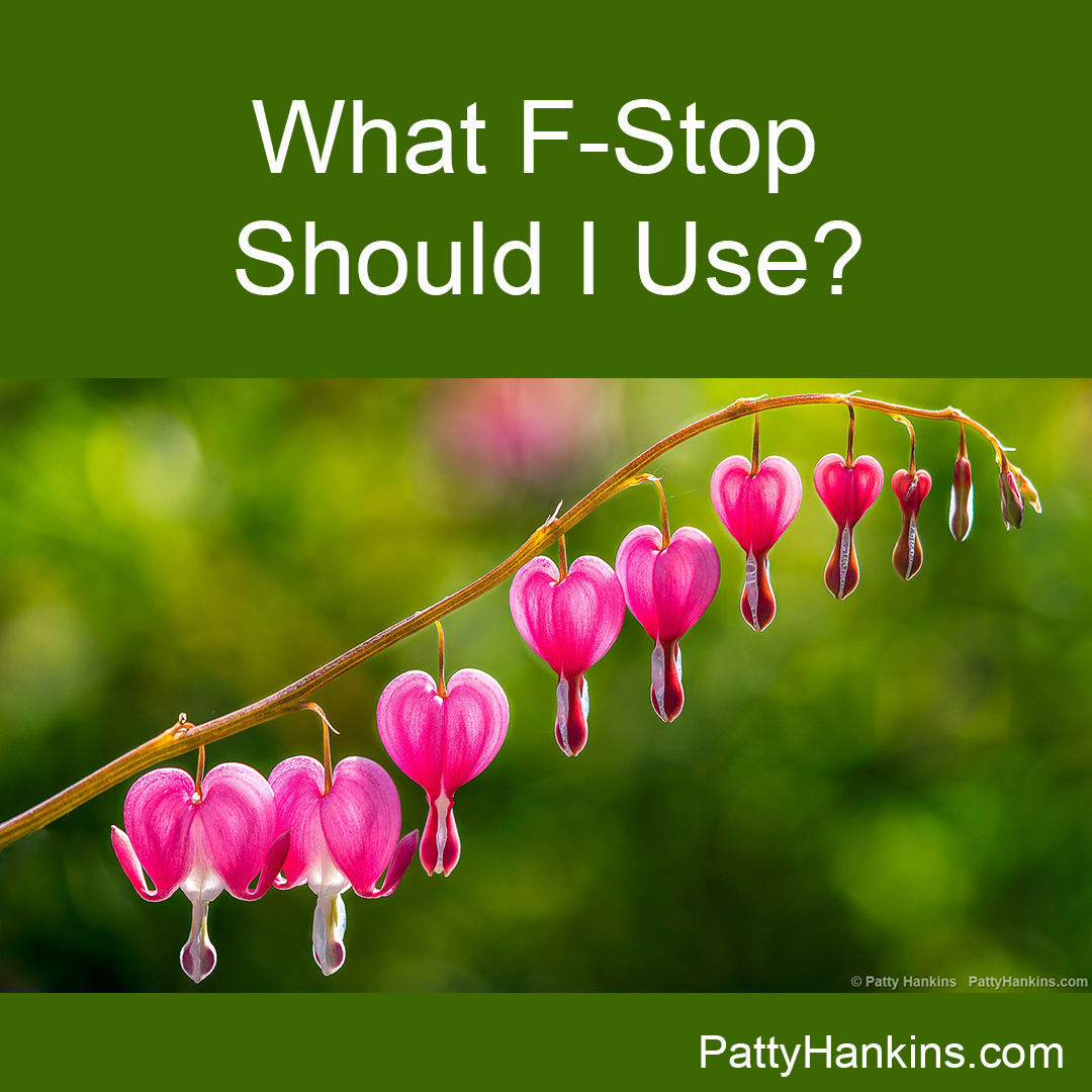 What F-Stop Should I Use?