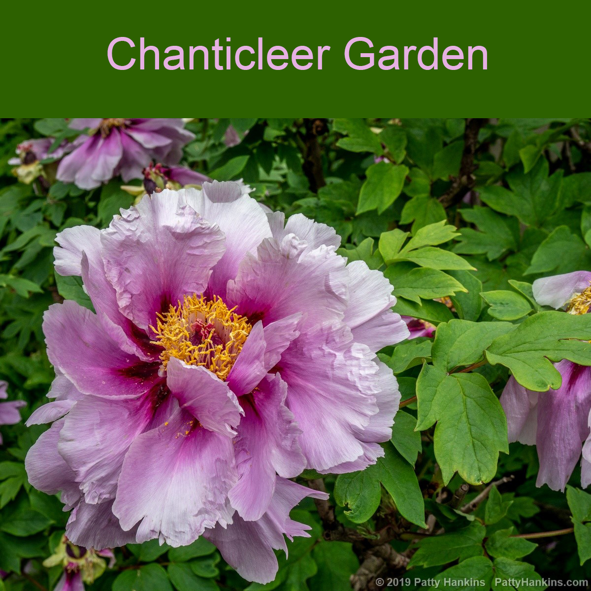 Chanticleer Garden