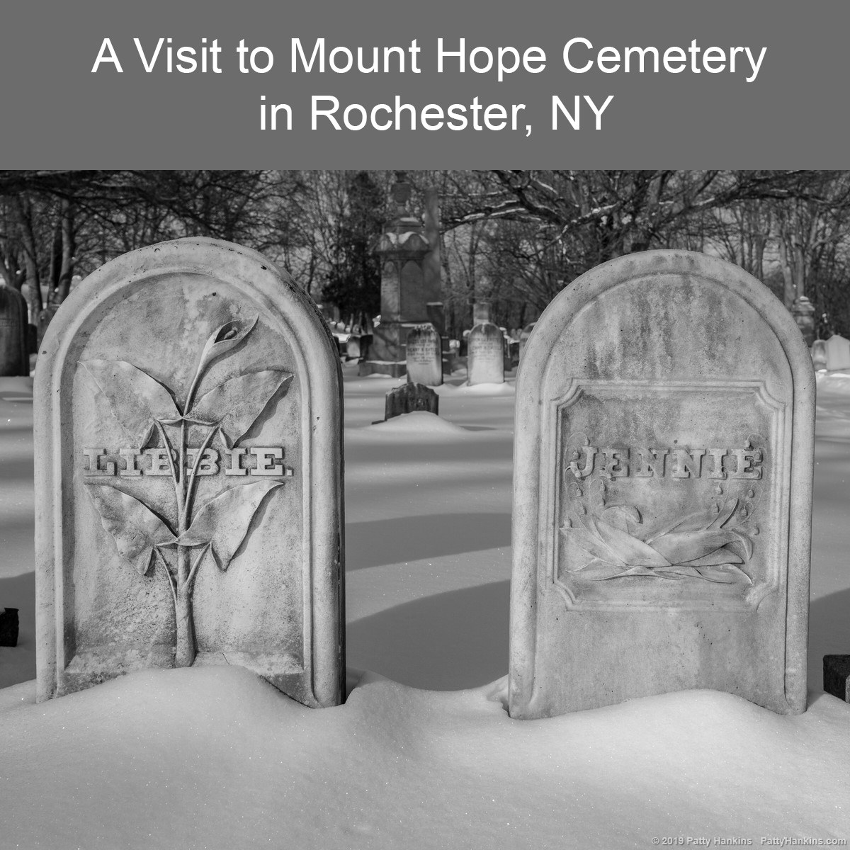 A Visit to Mount Hope Cemetery in Rochester