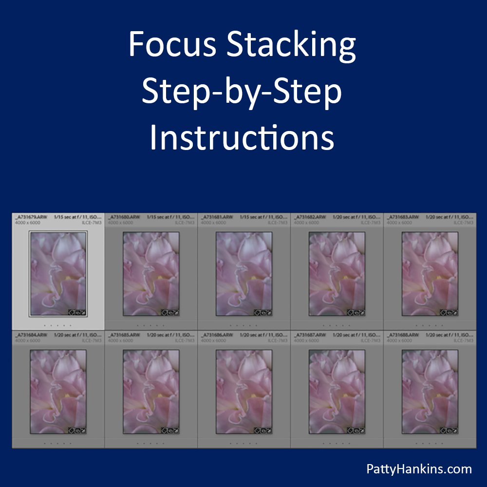 Focus Stacking Step-by-Step Instructions