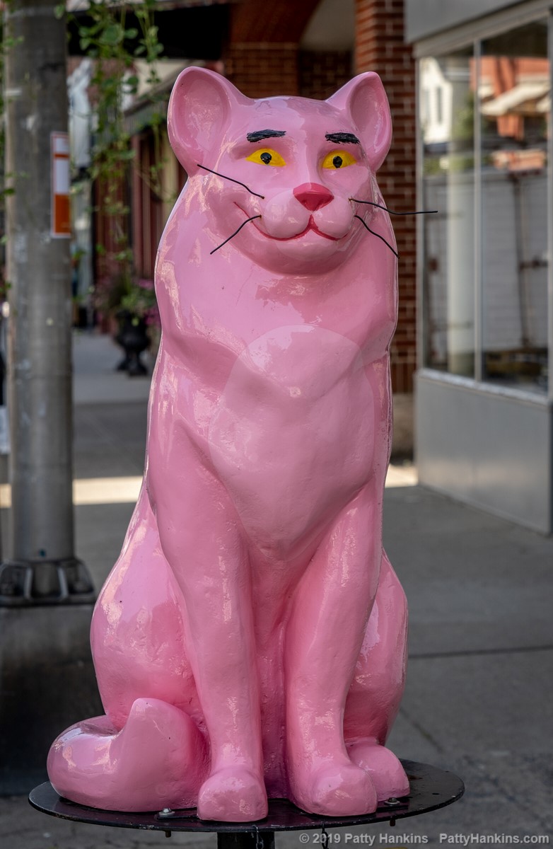 Pink Panther © 2019 Patty Hankins 