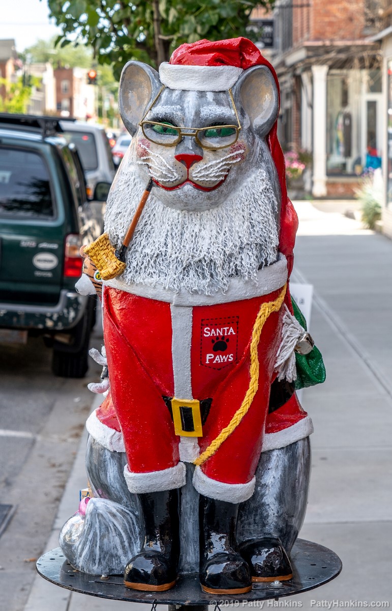 Santa Paws © 2019 Patty Hankins