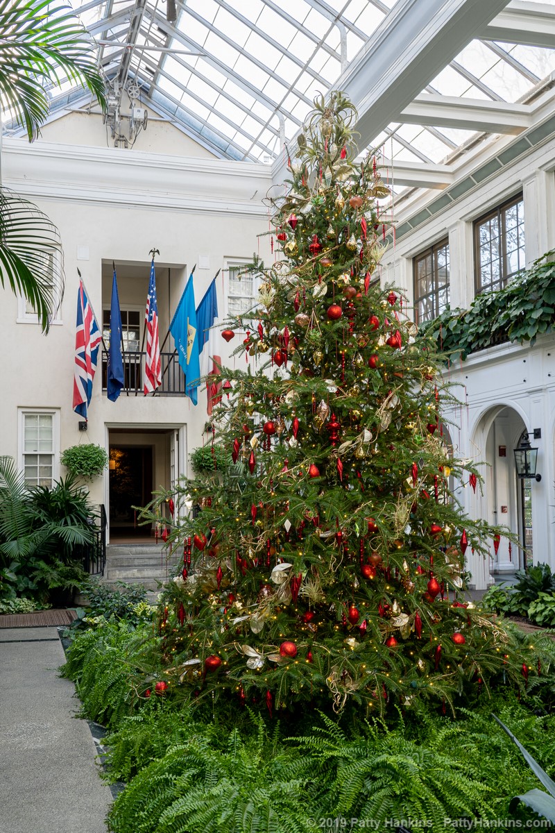 Christmas at Longwood Gardens 2019 - DuPont House Tree © 2019 Patty Hankins