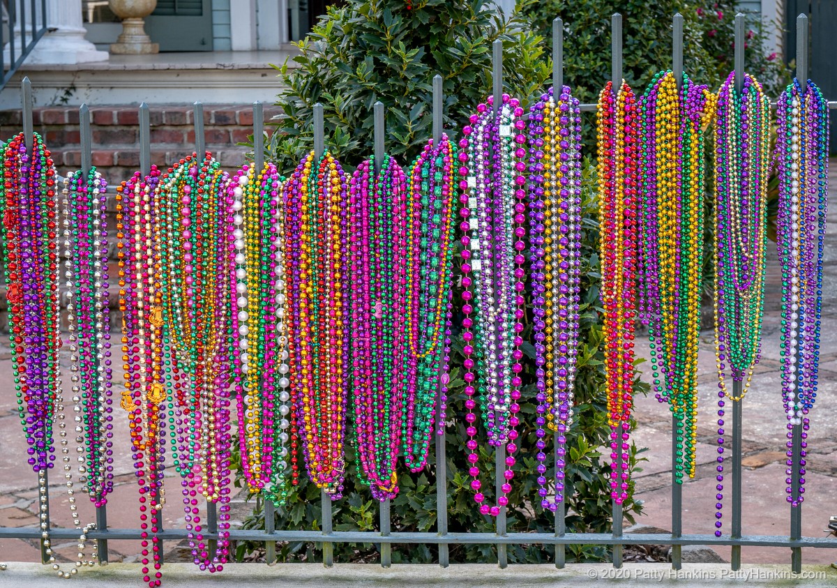 After Mardi Gras © 2020 Patty Hankins