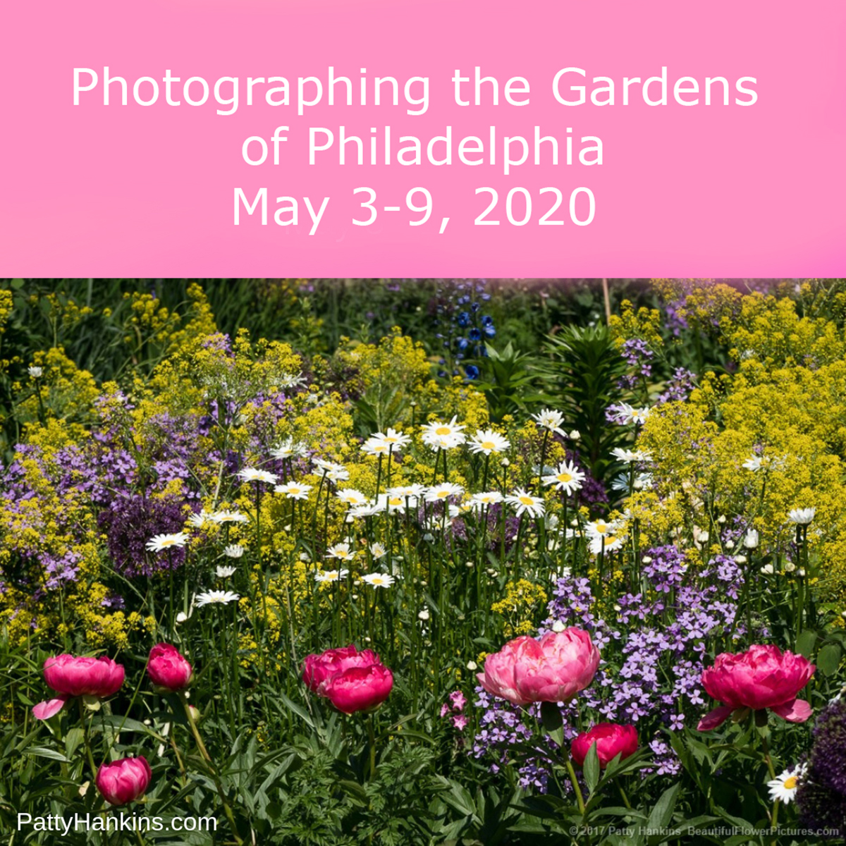 Come Photograph the Gardens of Philadelphia with me in May