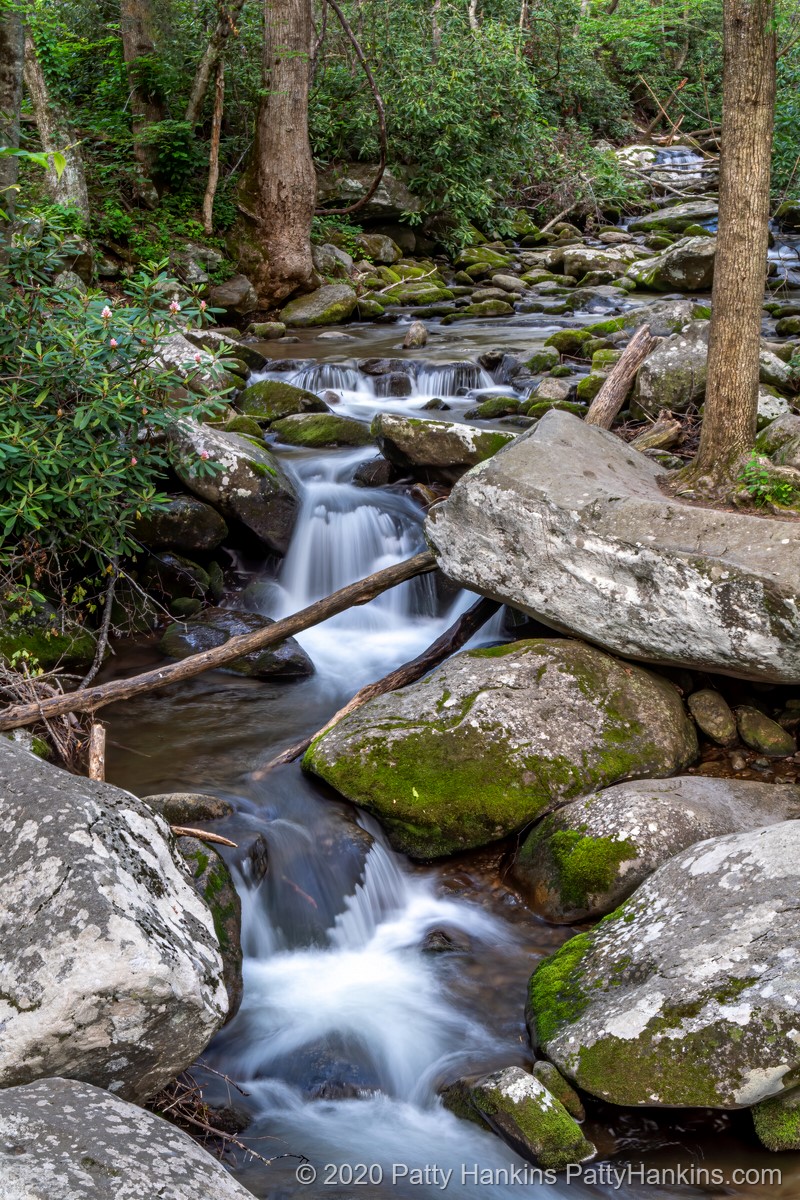 Smoky Mountains Stream © 2020 Patty Hankins